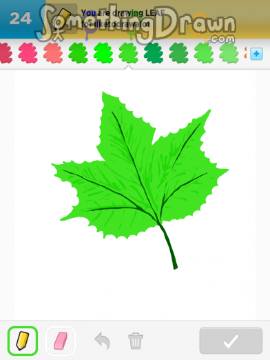 SomethingDrawn.com - LEAF drawn by David S on Draw Something