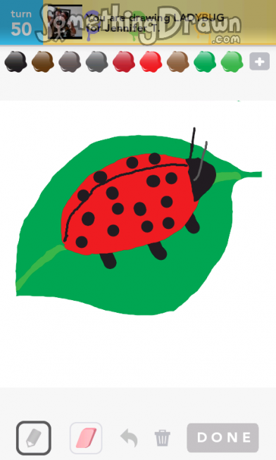 ladybug