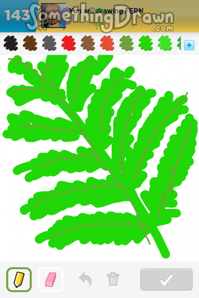 FERN