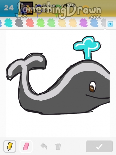 whale