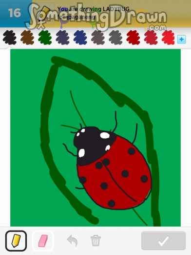 ladybug