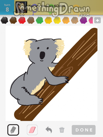 Koala