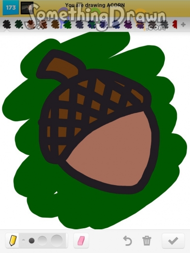 acorn