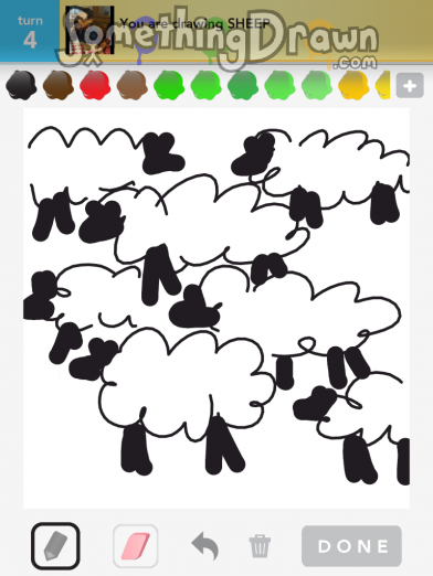 Sheep