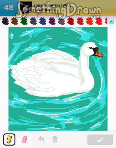 swan