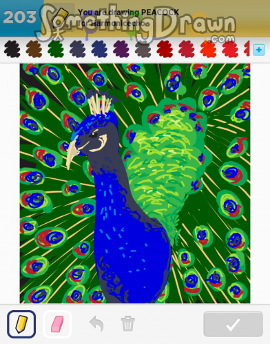 peacock