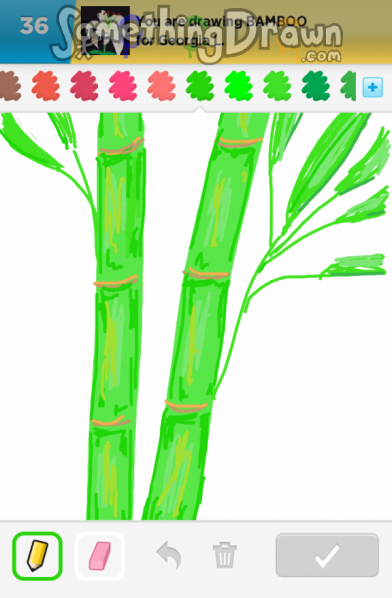 Bamboo