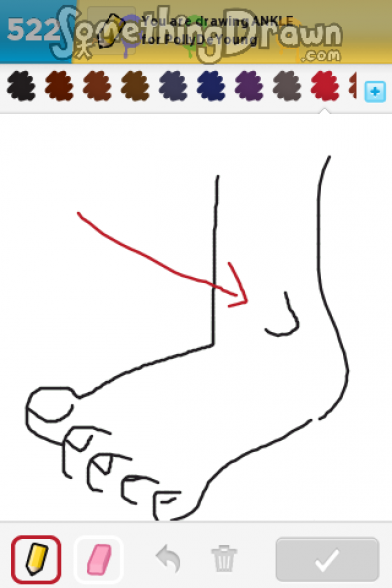 Ankle