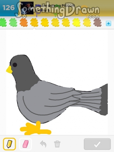 PIGEON