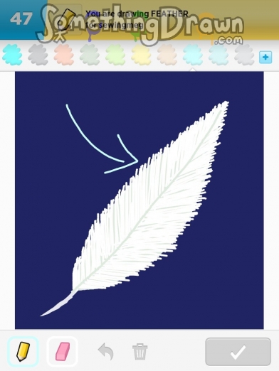 feather