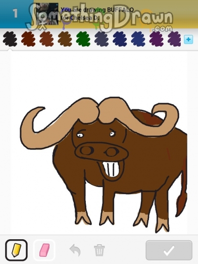 buffalo