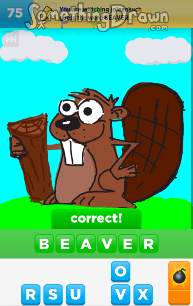 beaver