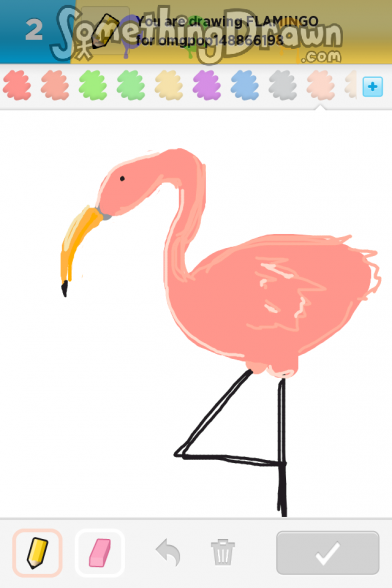 flamingo