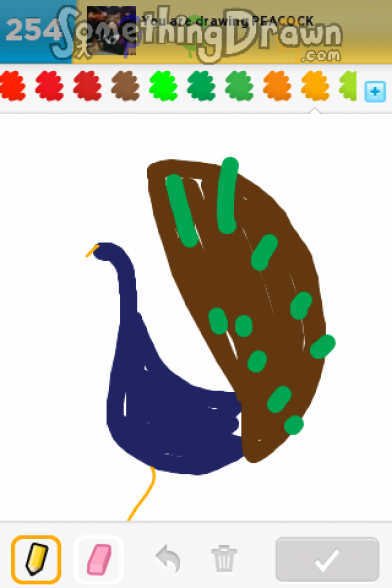 peacock