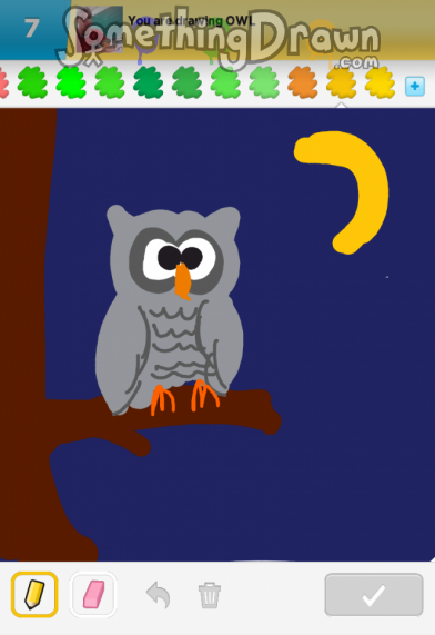 owl