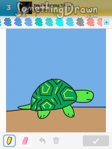 turtle