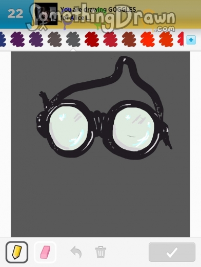 goggles