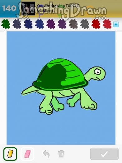 turtle