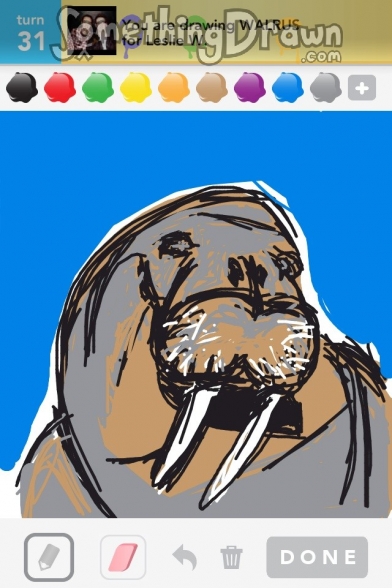 walrus