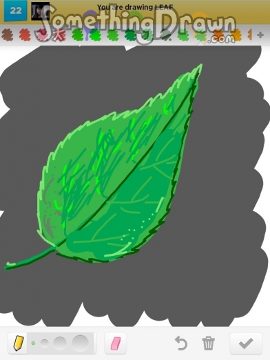 leaf