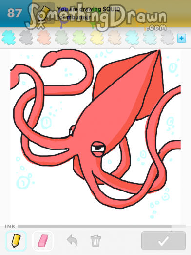 Squid