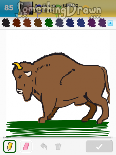 Buffalo