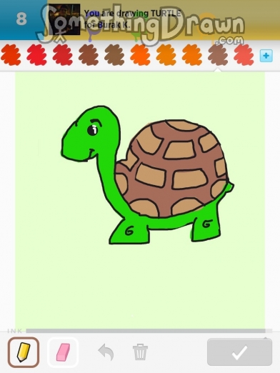 turtle