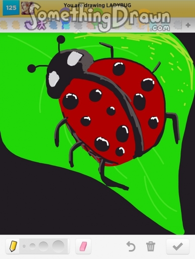 ladybug