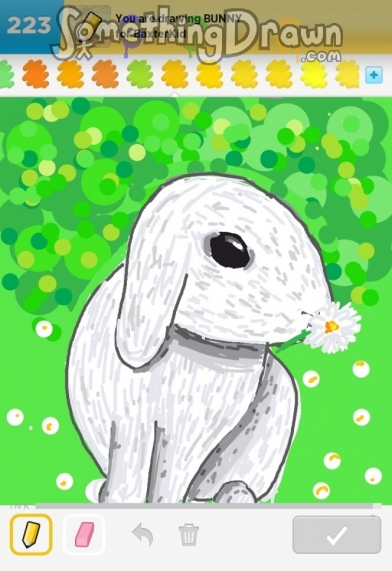 bunny