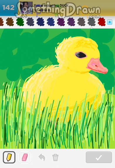 duck