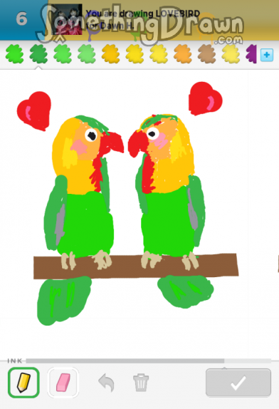 lovebird