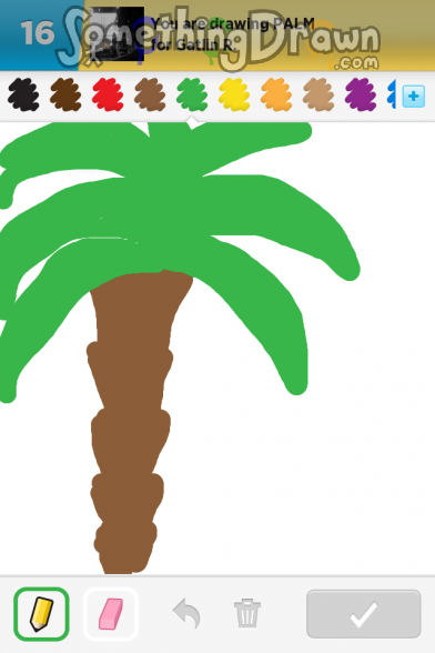 Palm