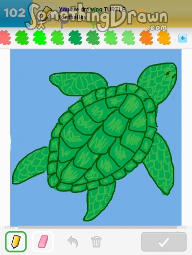 turtle