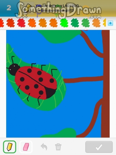 ladybug