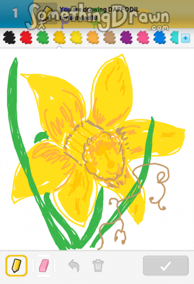 daffodil