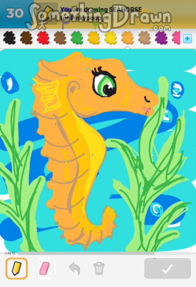 seahorse