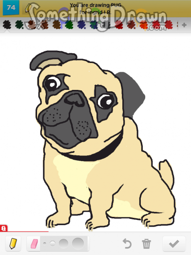 pug