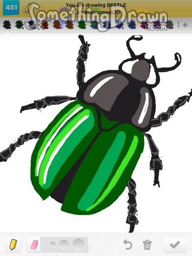 beetle