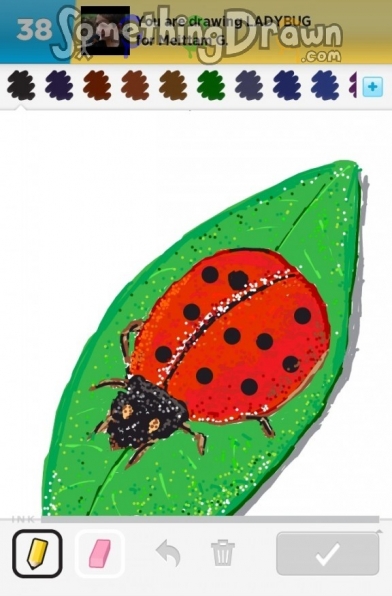 ladybug