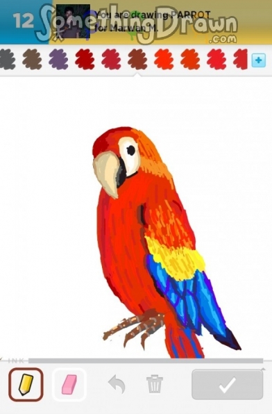 parrot