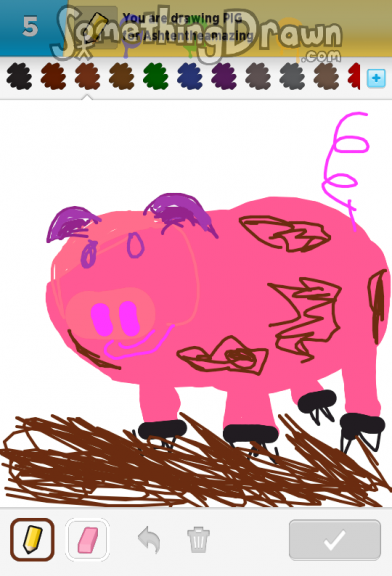 pig