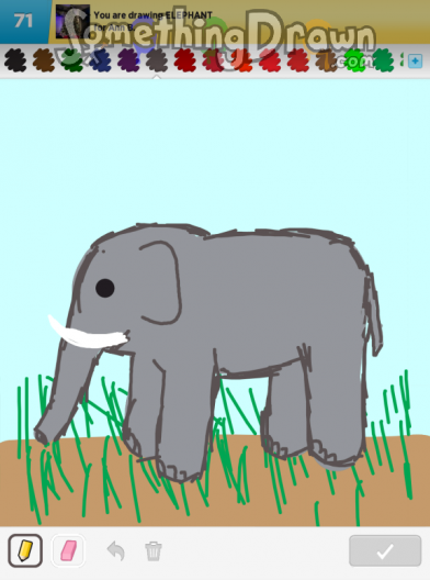 elephant