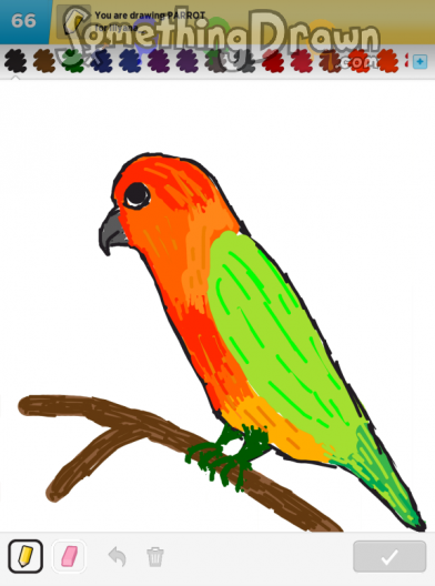 parrot