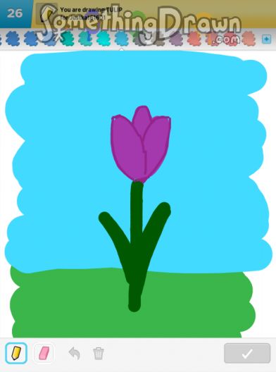 tulip