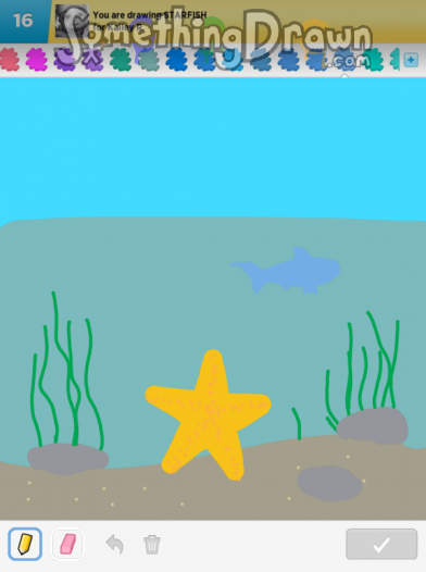 starfish