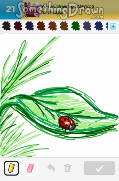 ladybug