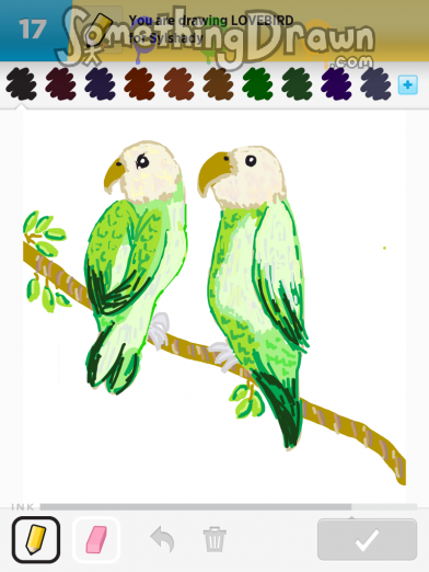 lovebird