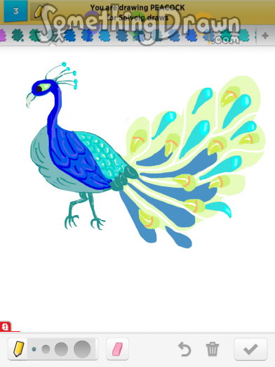 Peacock