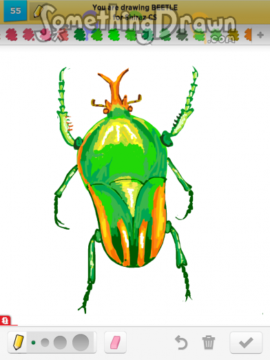 Beetle