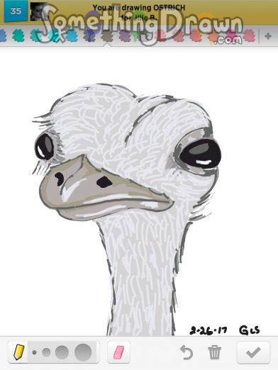 ostrich